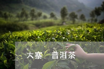 大寨 普洱茶/2023042813034